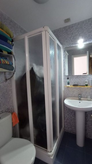 Casa adosada en venta en El Pino-Bajo de Guía en Sanlúcar de Barrameda