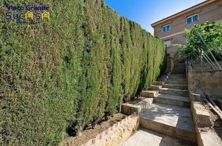 Chalet en venta en Padul