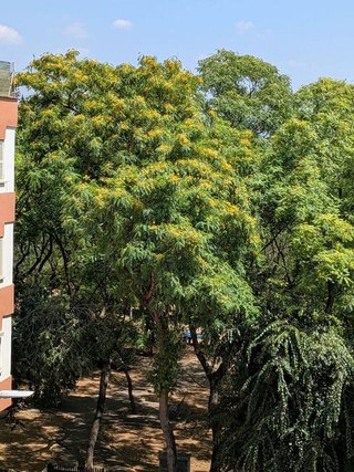 Piso en venta en Son Cotoner en Palma de Mallorca