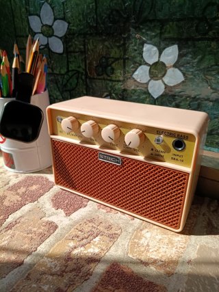 Mini amplificador de bajo Strich con Bluetooth