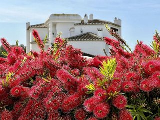 Piso en venta en Elviria en Marbella