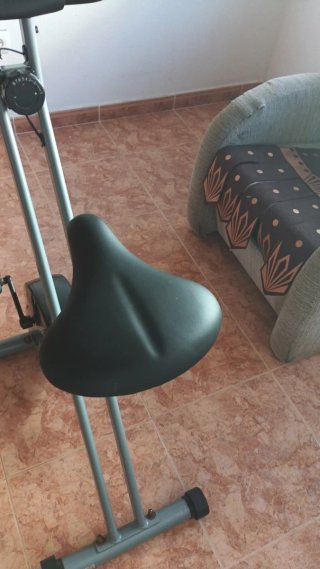Bicicleta Estática Gris