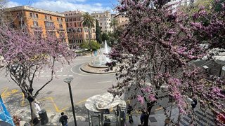 Piso en venta en La Llotja - Sant Jaume en Palma de Mallorca