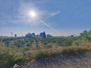 Casa rural en venta en Algemesí