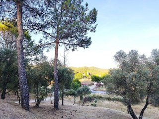Casa rural en venta en Cazalla de la Sierra