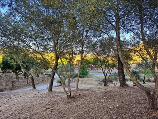 Casa rural en venta en Cazalla de la Sierra