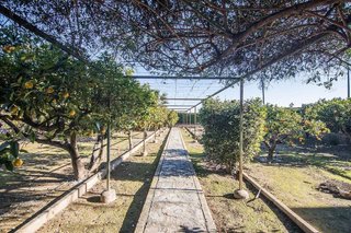 Chalet en venta en Las Bayas en Elche