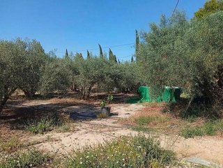 Chalet en venta en Las Bayas en Elche
