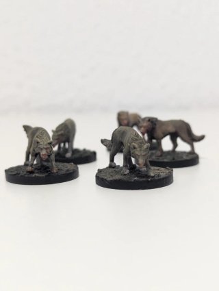 19 Miniaturas campaña de Rol escenario de aldea.