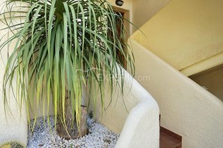 Piso en venta en Les Marines/Las Marinas en Dénia