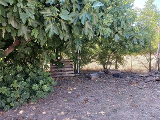 Casa rural en venta en Universidad en Ciudad Real