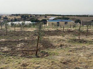 Masía en venta en Zona Casco Antiguo en Navalcarnero