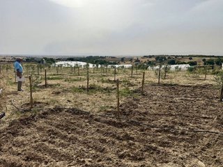 Masía en venta en Zona Casco Antiguo en Navalcarnero