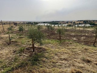 Masía en venta en Zona Casco Antiguo en Navalcarnero