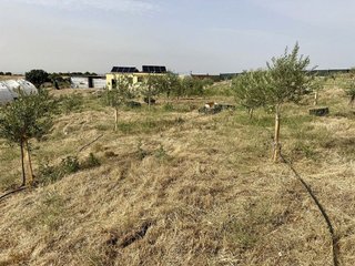 Masía en venta en Zona Casco Antiguo en Navalcarnero