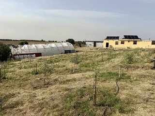 Masía en venta en Zona Casco Antiguo en Navalcarnero