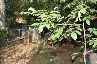 Casa rural en venta en Gelida