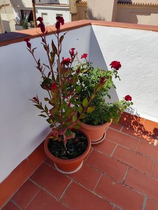Ático en venta en Almuñecar en Almuñécar