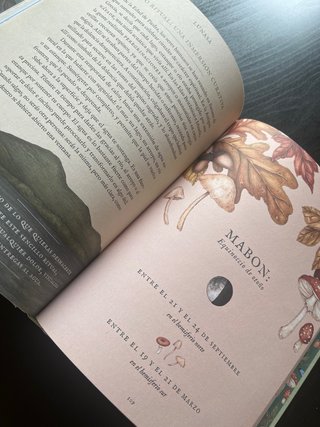 La rueda del año: Guía ilustrada para celebrar ...