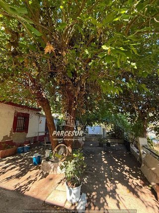 Casa rural en venta en Santa Maria de Trassierra en Córdoba