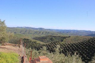 Casa rural en venta en Alcaracejos