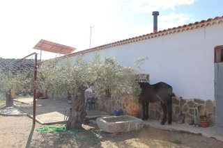 Casa rural en venta en Alcaracejos