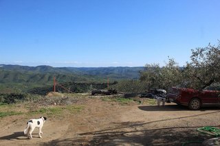 Casa rural en venta en Alcaracejos