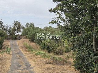 Casa rural en venta en Riudoms