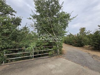 Casa rural en venta en Riudoms