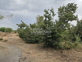 Casa rural en venta en Riudoms