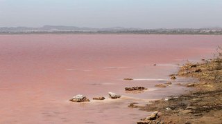 Piso en venta en San Miguel de Salinas