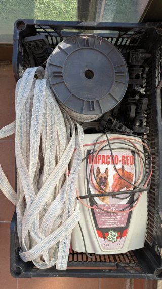 Pastor Eléctrico Impacto Red 9000V