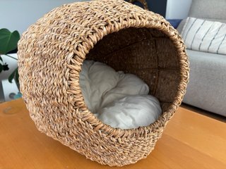 Cama para mascotas de seagrass, comprada en Zara