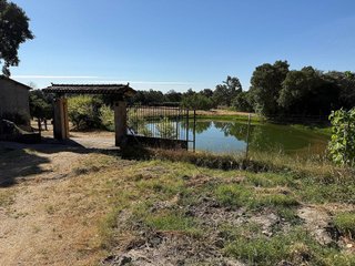 Terreno en venta en Candeleda