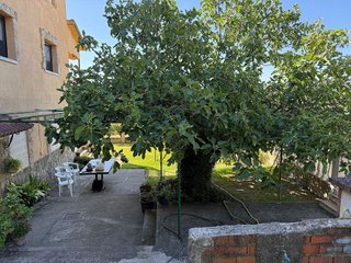 Terreno en venta en Candeleda