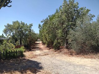 Chalet en venta en Cantillana