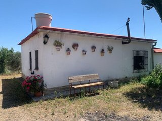 Chalet en venta en Cantillana