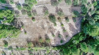 Casa rural en venta en Biar