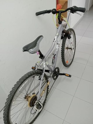 Bicicleta 24 pulgadas