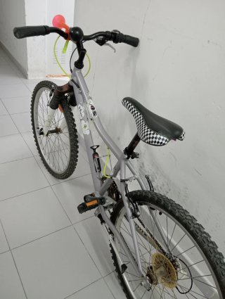 Bicicleta 24 pulgadas