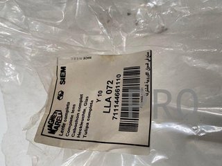 Tulipa Lancia y 10  LLA072 nuevo