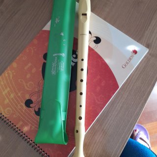 Flauta escolar Hohner, junto con la libreta de mús
