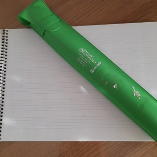 Flauta escolar Hohner, junto con la libreta de mús