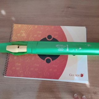 Flauta escolar Hohner, junto con la libreta de mús