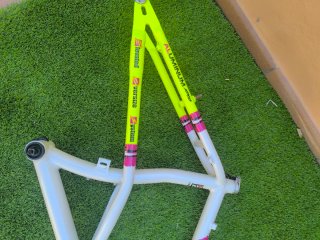 Alpinestars Al Mega DX - Cuadro Bici Repintado