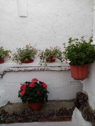 Casa adosada en venta en Íscar