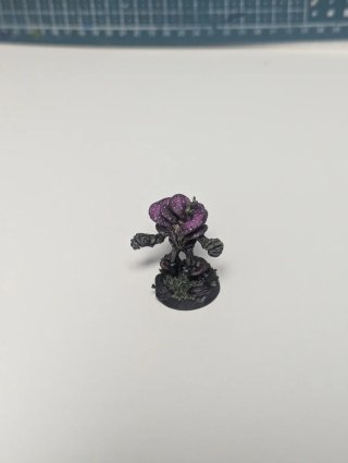 Pack Miniaturas Bosque y Aldea Rol