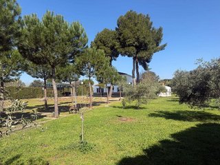 Chalet en venta en Ciudad Real