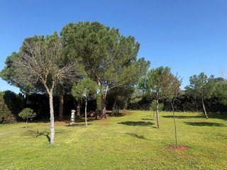 Chalet en venta en Ciudad Real