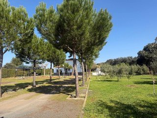 Chalet en venta en Ciudad Real